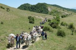 il maggio di Accettura - feste lucane